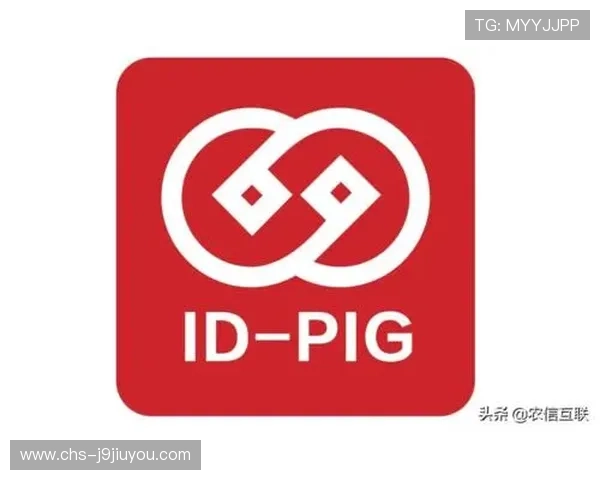 九游体育旗舰厅下载官网安全保障措施，保障用户信息安全与资金安全